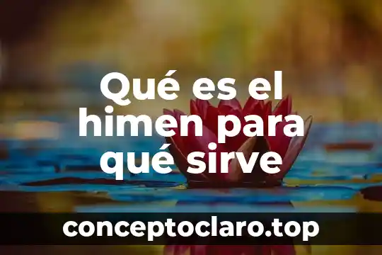 Qué es el himen para qué sirve