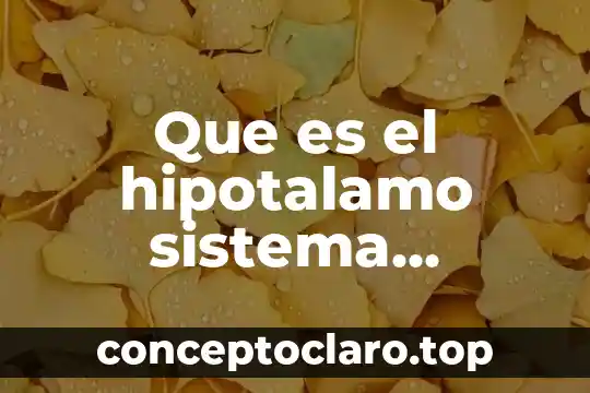 Símbolo del sistema que es 4 Que es el hipotalamo sistema endocrino