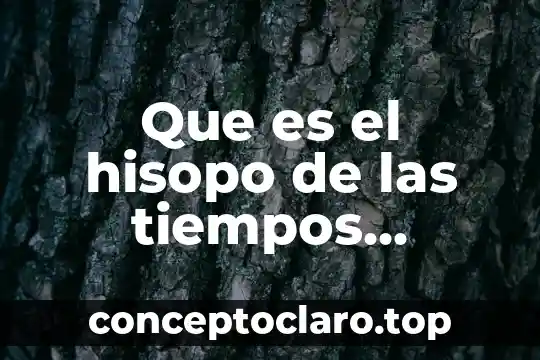Que es el hisopo de las tiempos biblicos