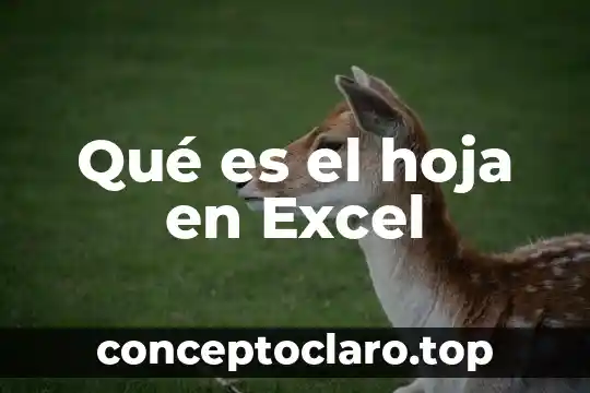 Que es dispersión en excel 6 Qué es el hoja en Excel