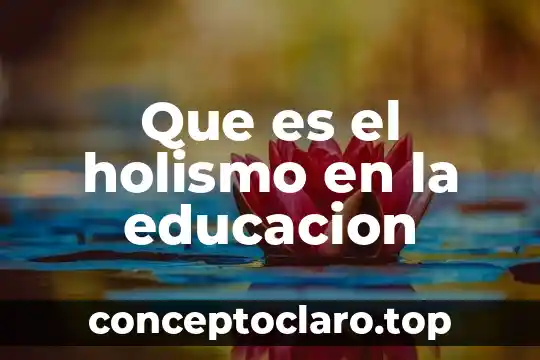 Que es el holismo en la educacion