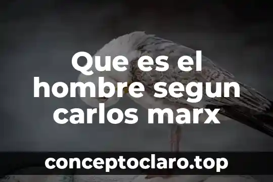 Que es el hombre segun carlos marx