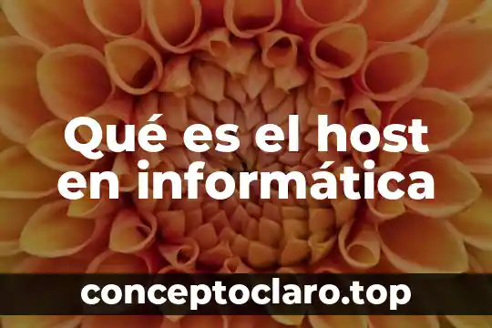 Qué es el host en informática