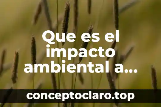 Que es el impacto ambiental a nivel local
