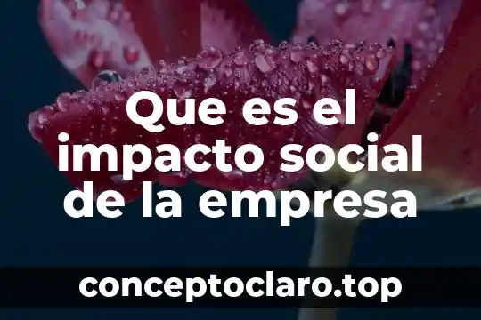 Que es el impacto social de la empresa