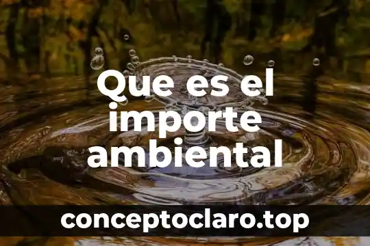 Que es el importe ambiental
