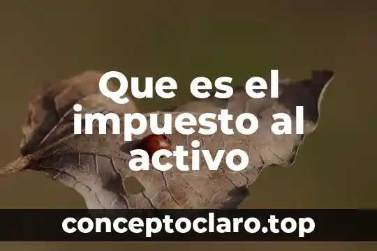 Que es principio activo en patologia 4 Que es el impuesto al activo