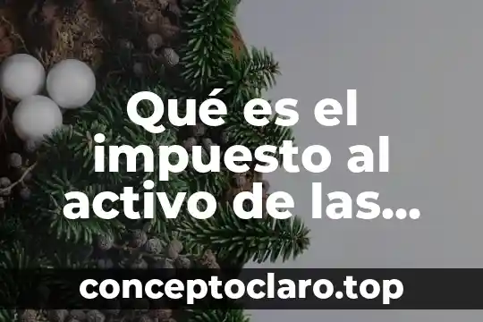 Qué es el impuesto al activo de las empresas