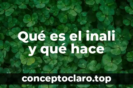 Que es un registro anectodico y como se hace 8 Qué es el inali y qué hace