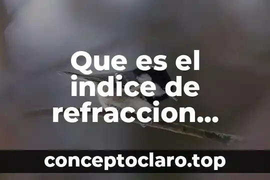 Que es el indice de maldad 4 Que es el indice de refraccion absoluto