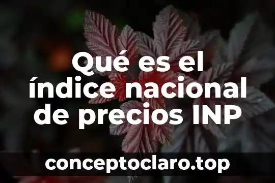 Qué es el índice de hidrofobicidad 3 Qué es el índice nacional de precios INP