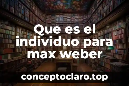 Wimmount que es 4 Que es el individuo para max weber