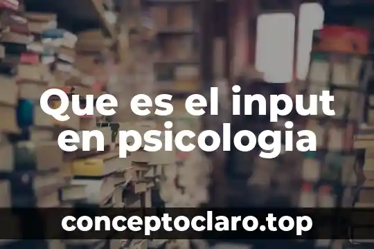 Qué es la psicología dialéctica 3 Que es el input en psicologia