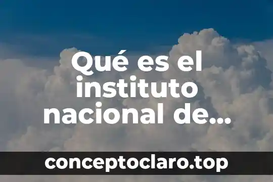 Qué es el instituto nacional de economía internacional