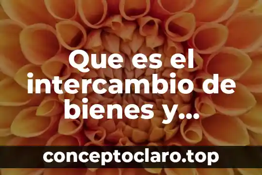 Que es el intercambio de bienes y servicios es