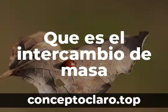Que es la conservacion de la masa tipos 8 Que es el intercambio de masa