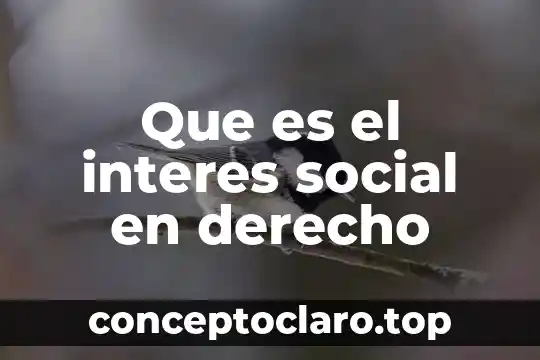 Que es el interes social en derecho