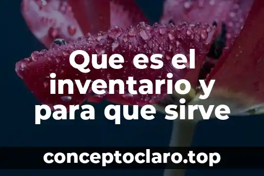 Que es el inventario y para que sirve