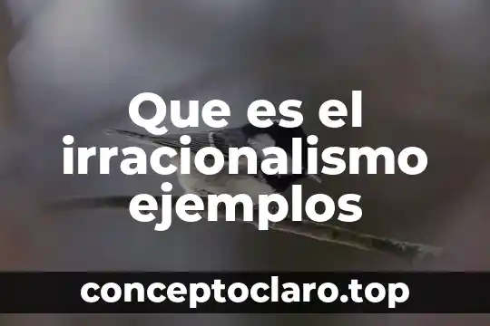 Que es el irracionalismo ejemplos