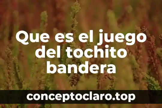 Que es flex en juego 5 Que es el juego del tochito bandera