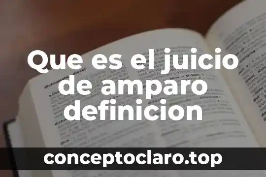 Qué es derecho amparo 4 Que es el juicio de amparo definicion
