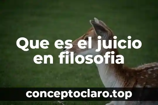 Que es el juicio en filosofia
