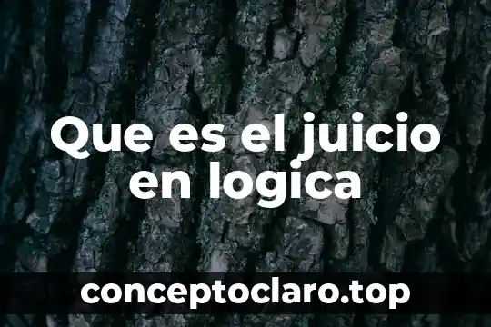 Que es significa la palabra impuras 3 Que es el juicio en logica