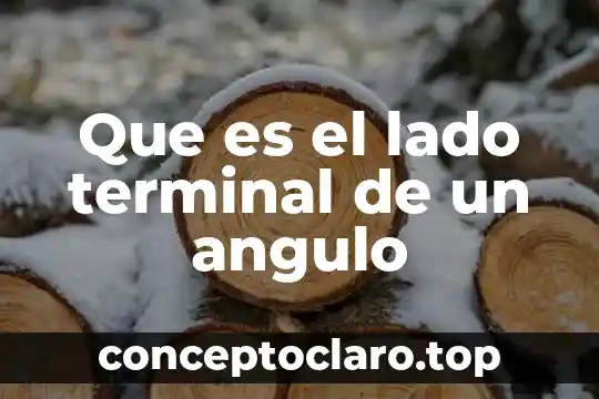 Que es el lado terminal de un angulo