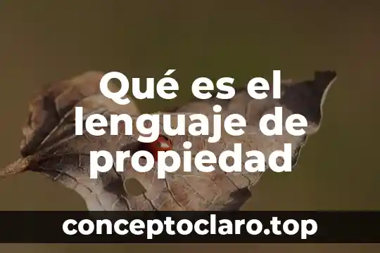 Qué es el lenguaje de propiedad