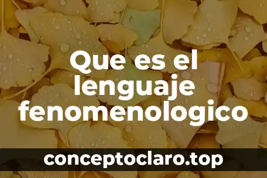 Que es licos en lenguaje de ilum inacion 5 Que es el lenguaje fenomenologico