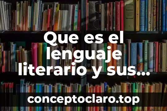 Lenguaje de representacion programacion que es 5 Que es el lenguaje literario y sus caracteristicas