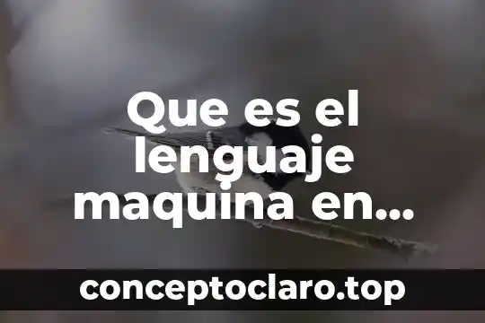 Que es el lenguaje maquina en programacion