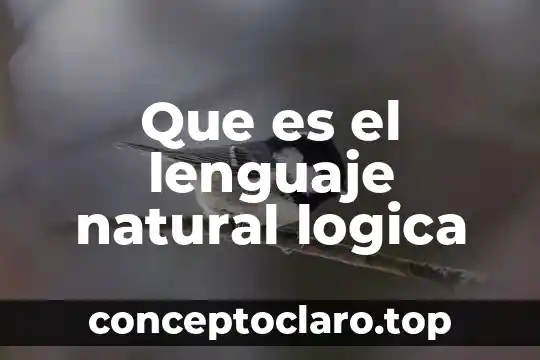 Que es el lenguaje natural logica