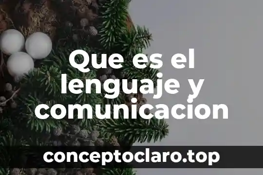 Que es el lenguaje y comunicacion