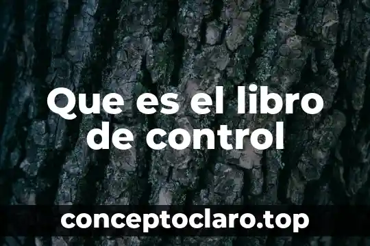 Que es el libro de control