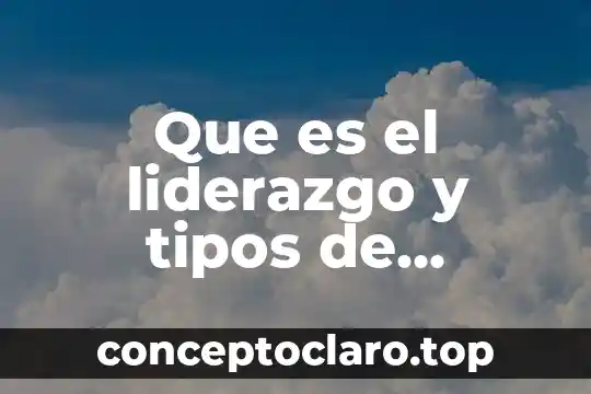 Que es el liderazgo y tipos de liderazgo segun autores