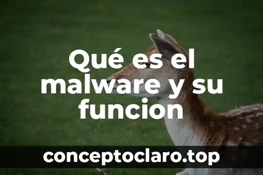 Que es una funcion explisica 4 Qué es el malware y su funcion