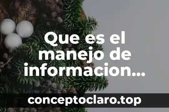 Que es el manejo de informacion del area de compra