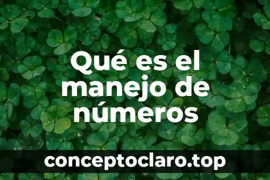 Qué es el manejo de números