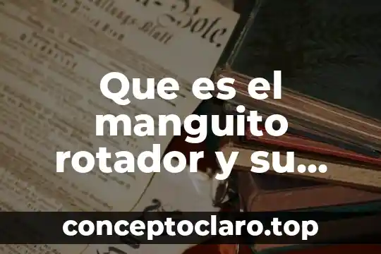 Qué es la connotación en una función 3 Que es el manguito rotador y su funcion