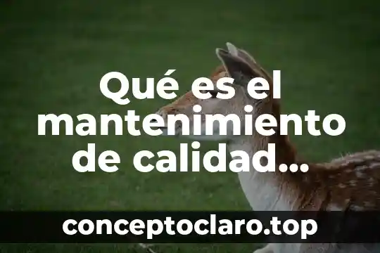 Qué es el mantenimiento de calidad definición