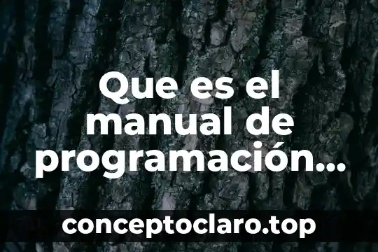 Que es el manual de programación y presupuesto 2019