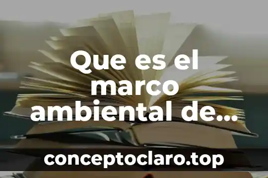 Que es un proyecto clepsidra 3 Que es el marco ambiental de un proyecto