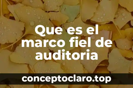 Que es el marco fiel de auditoria