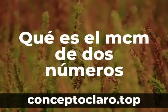 Números reales qué es 7 Qué es el mcm de dos números