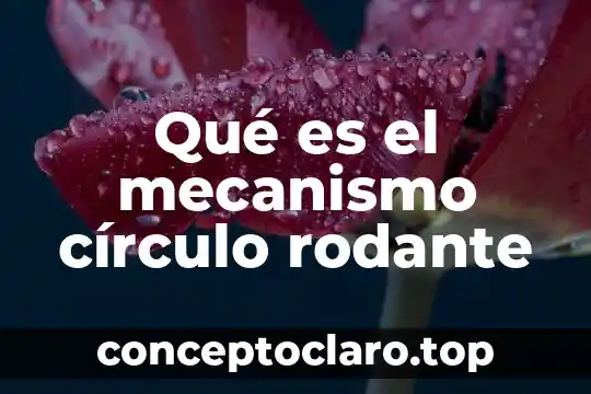 Que es un circulo de lectura y para que sirve 4 Qué es el mecanismo círculo rodante