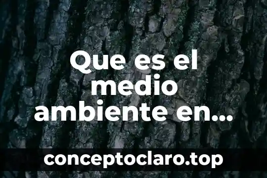 Que es un medio de comunicacion de red 6 Que es el medio ambiente en salud