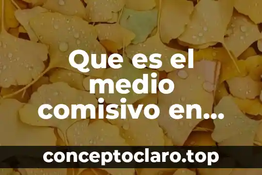 Que es caracteristicas de la materia 4 Que es el medio comisivo en materia penal