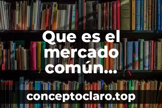 Qué es el mercado internacional de capitales 5 Que es el mercado común centroamericano mcca
