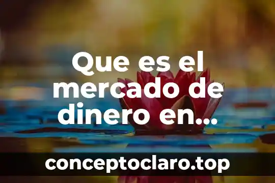 Que es el valor del dinero en el tiempo finanzas 8 Que es el mercado de dinero en finanzas